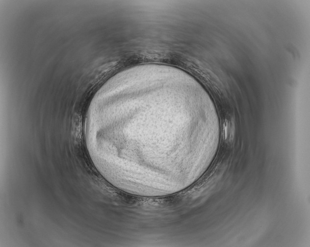 X0000112181251200908281354