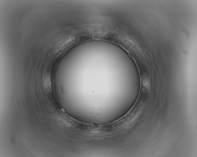 X0000112181252200908281354