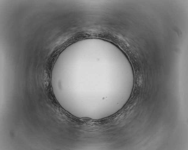 X0000112181253200908281354