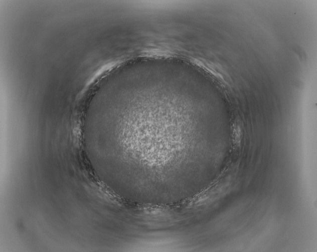 X0000112181254200908281354