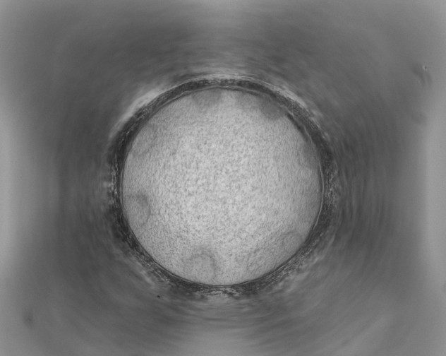 X0000112181255200908281354