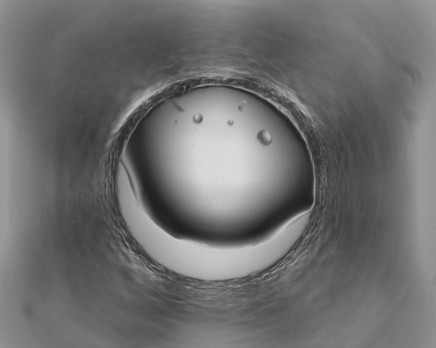 X0000112181256200908281354