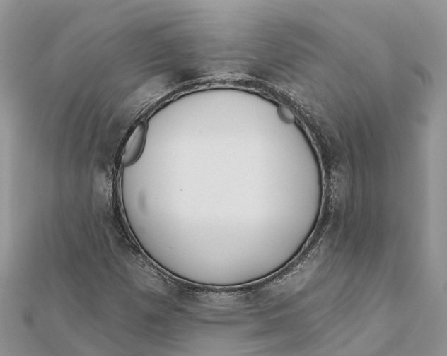 X0000112181257200908281353