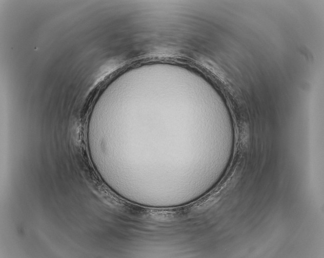 X0000112181258200908281353