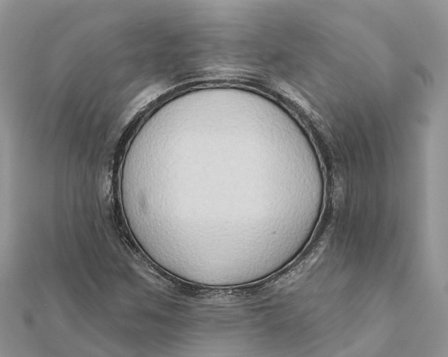 X0000112181259200908281353