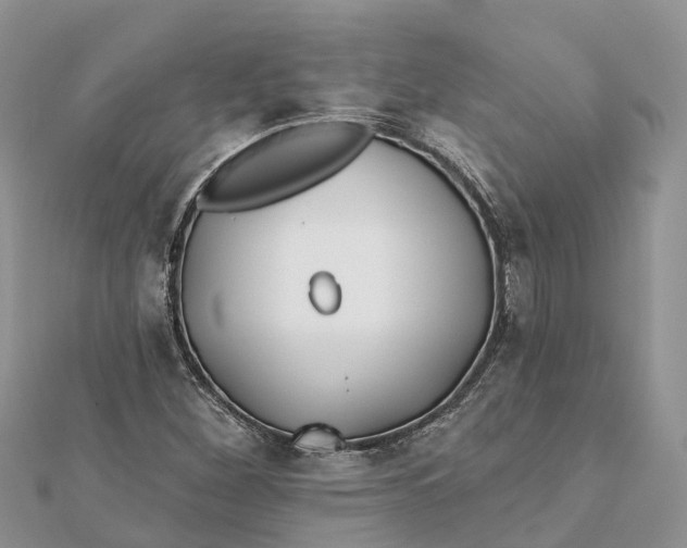 X0000112181260200908281353