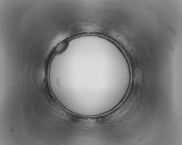 X0000112181261200908281353