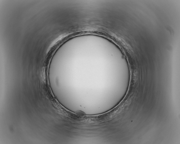 X0000112181262200908281353