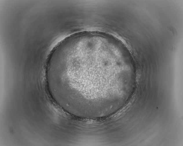 X0000112181263200908281353