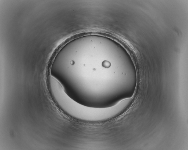 X0000112181264200908281353