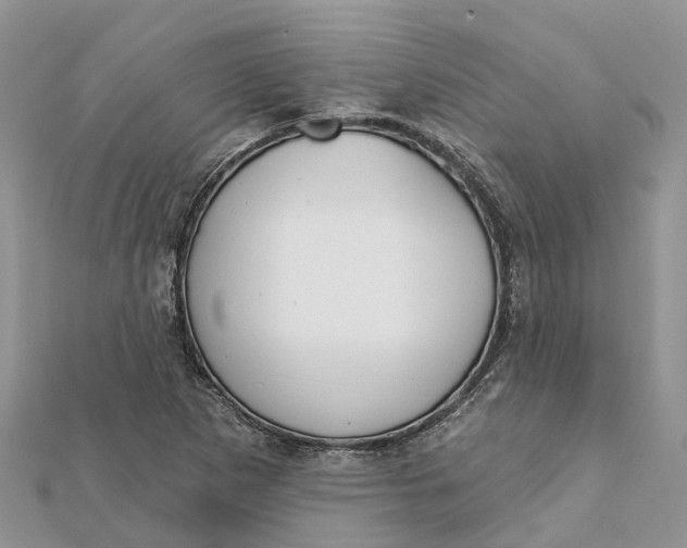 X0000112181265200908281353