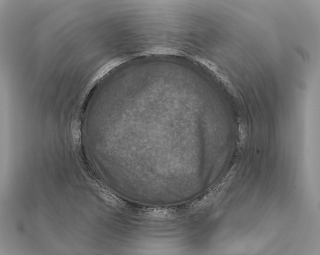 X0000112181266200908281353