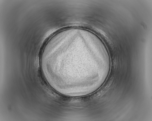 X0000112181267200908281353