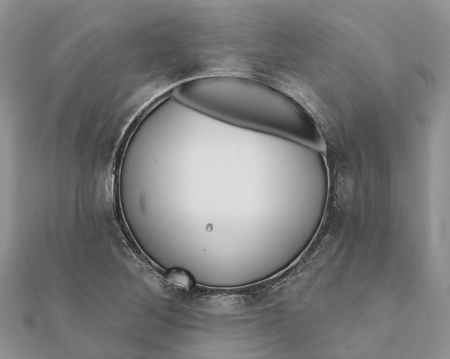 X0000112181268200908281353