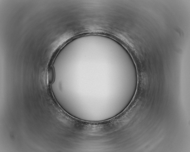 X0000112181269200908281353