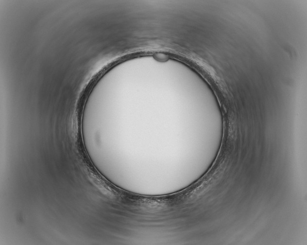 X0000112181270200908281353