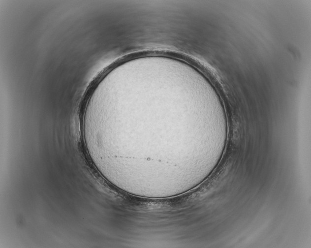 X0000112181271200908281353