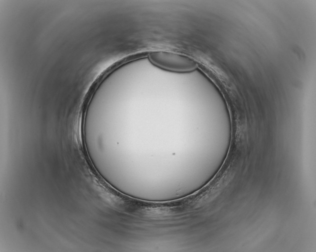 X0000112181272200908281353