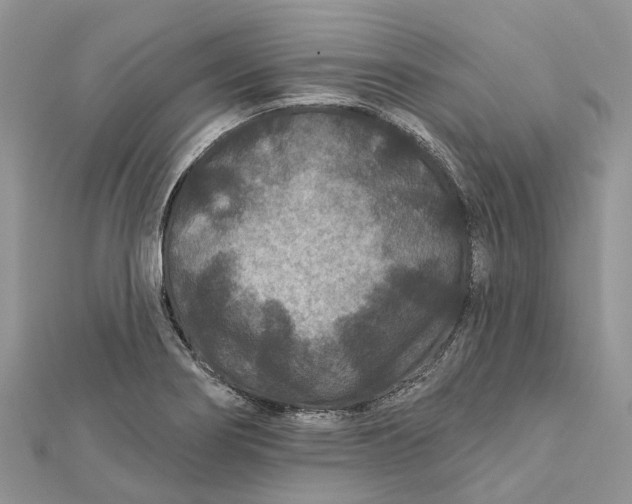 X0000112181274200908281353