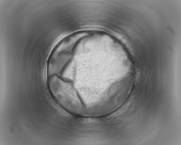 X0000112181275200908281353