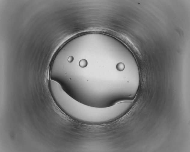 X0000112181276200908281353