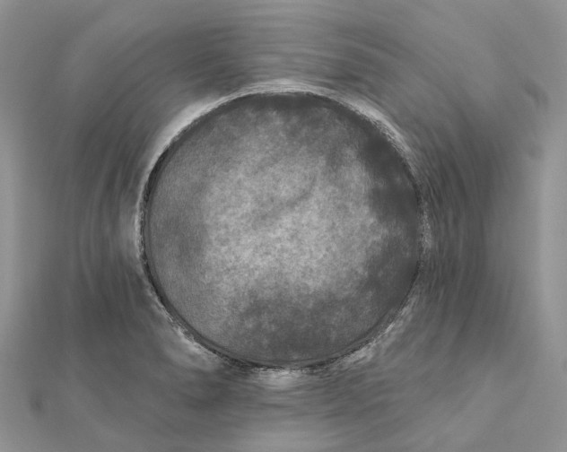 X0000112181278200908281353