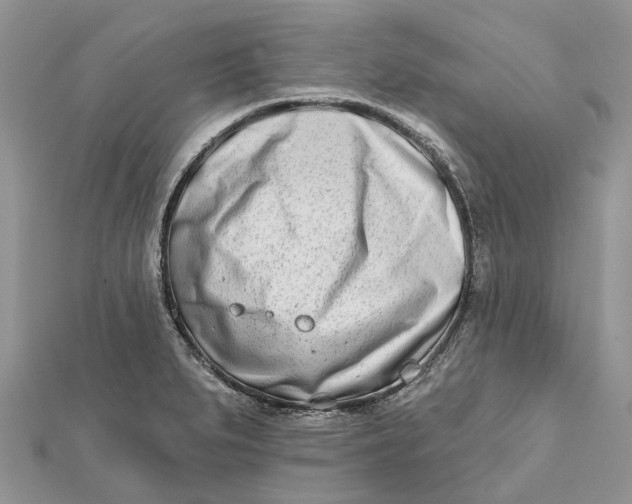 X0000112181279200908281353