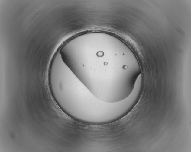 X0000112181280200908281353