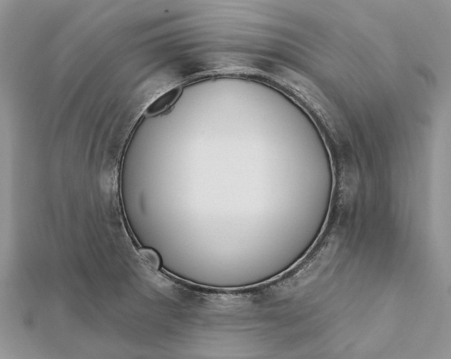 X0000112181281200908281353