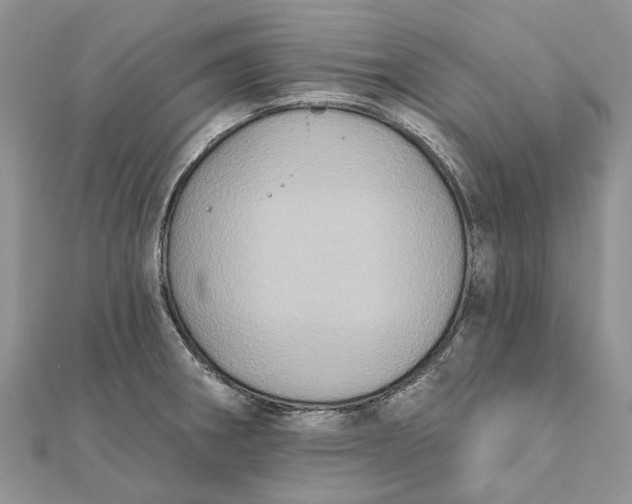 X0000112181282200908281353