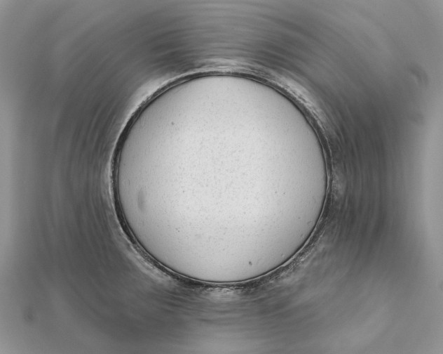 X0000112181283200908281353