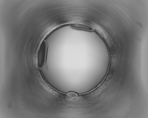 X0000112181284200908281353