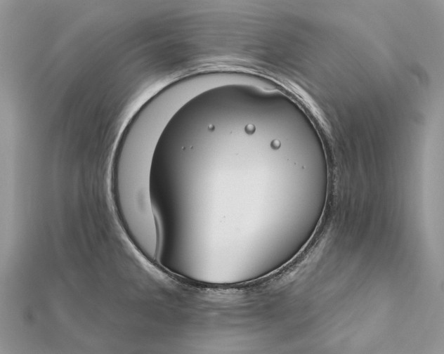 X0000112181285200908281353