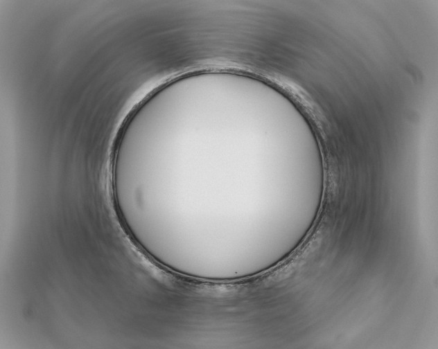 X0000112181286200908281353