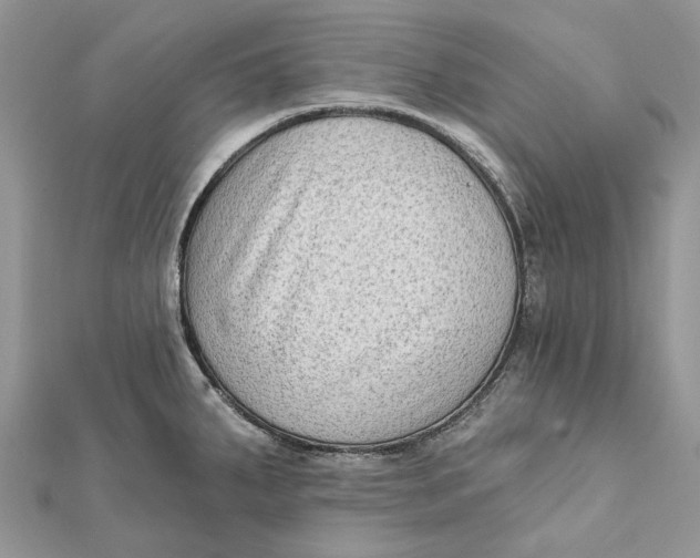 X0000112181287200908281353