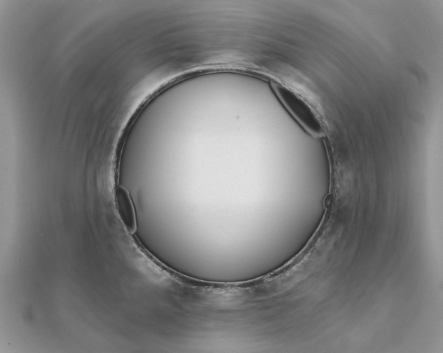 X0000112181288200908281353