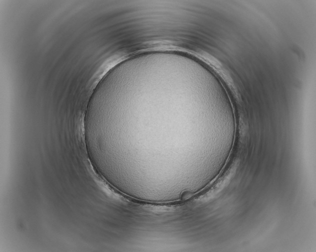 X0000112181289200908281353