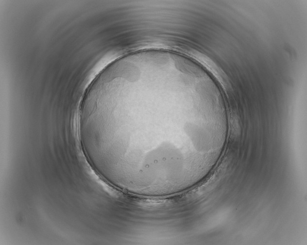 X0000112181290200908281353