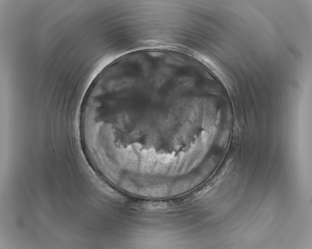 X0000112181291200908281353