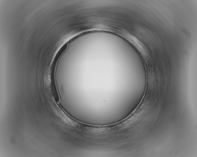 X0000112181292200908281353