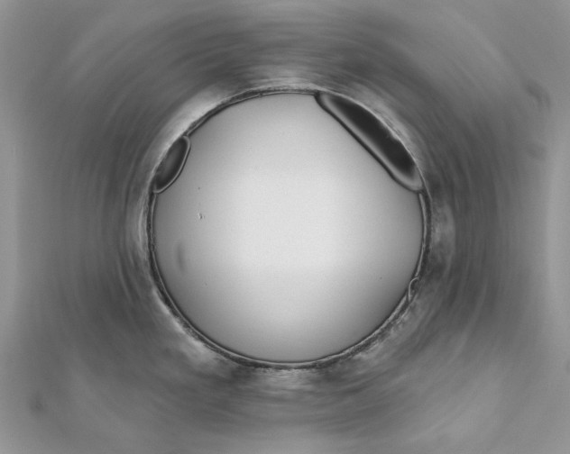 X0000112181293200908281353