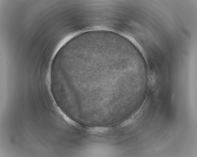 X0000112181294200908281353