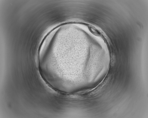 X0000112181295200908281353