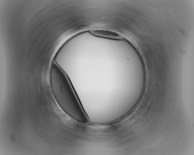 X0000112181296200908281353