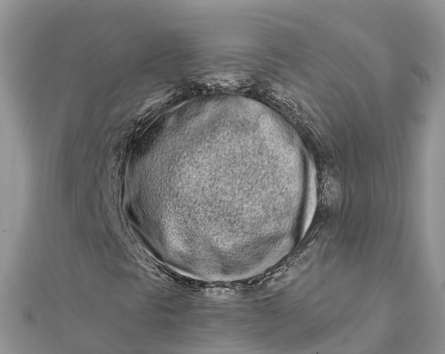 X0000112181297200908281352