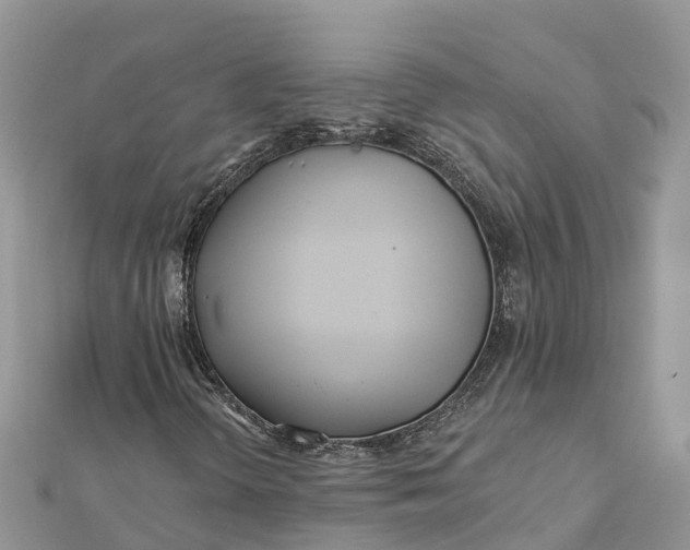 X0000112181298200908281352