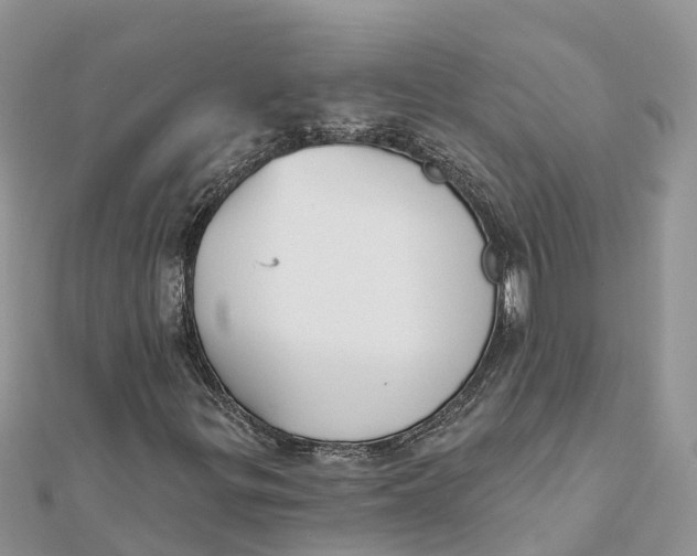 X0000112181299200908281352