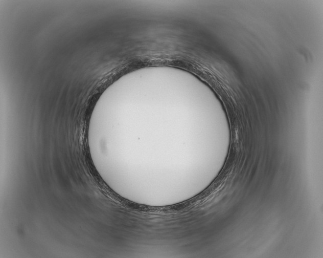 X0000112181300200908281352