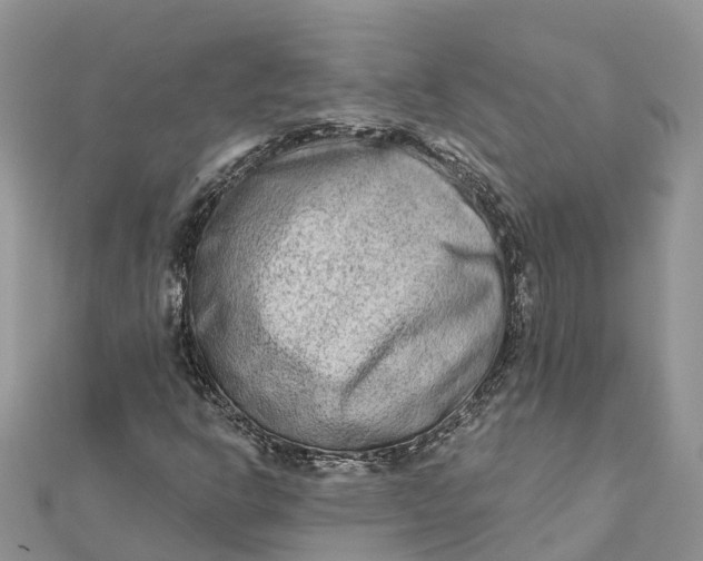 X0000112181302200908281352