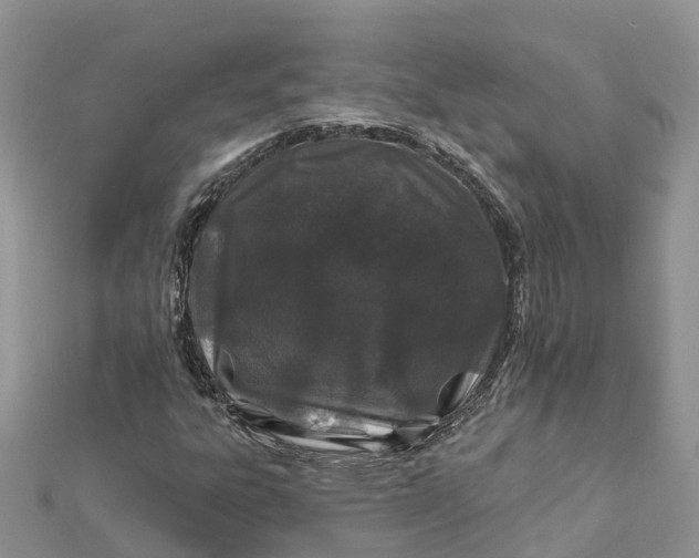 X0000112181303200908281352